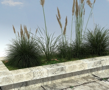 Modern Flower Bed, Flower Bowl, Flower Box-ID:290100106