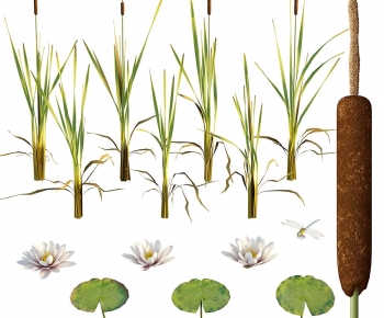 Modern Flowers And Grass-ID:831510072