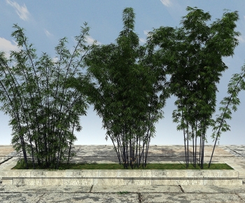 Modern Bamboo-ID:420011042