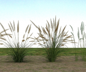 Modern The Grass-ID:315180066