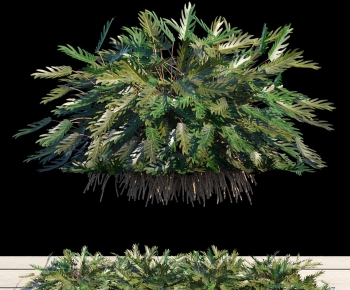 现代植物堆-ID:770323998