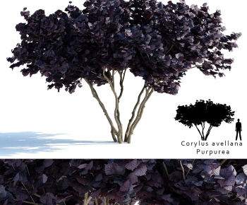 Modern Tree-ID:603655104