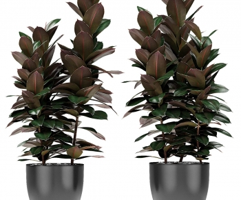 Modern Ground Green Plant Potted Plants-ID:451327092