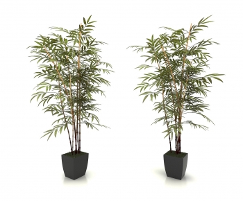 Modern Ground Green Plant Potted Plants-ID:967431071