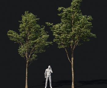 Modern Tree-ID:876379062