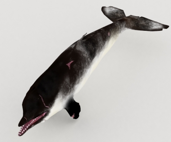 Modern Aquatic Animals-ID:245490163