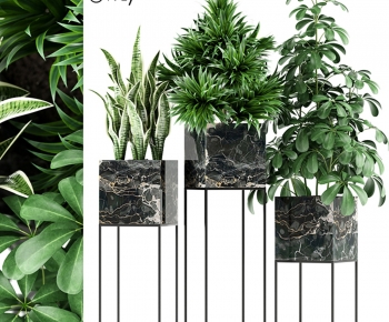 Modern Ground Green Plant Potted Plants-ID:593560933