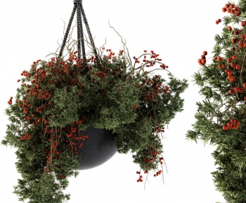 Modern Chlorophytum Comosum-ID:167978058