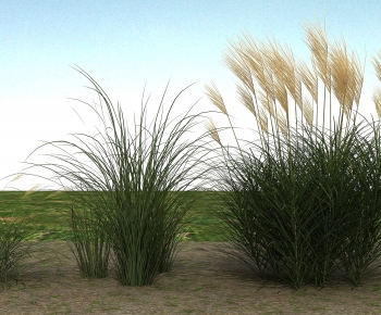 Modern The Grass-ID:964724064