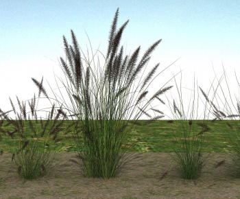 Modern The Grass-ID:336838961