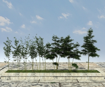 Modern Bamboo-ID:285759027