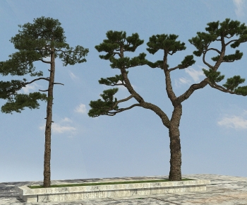 Modern Tree-ID:804615022