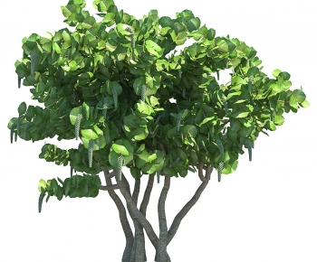 Modern Tree-ID:124958049
