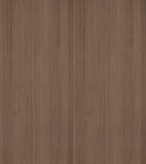 ModernWood Texture