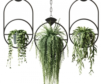现代绿植吊兰组合-ID:154369126