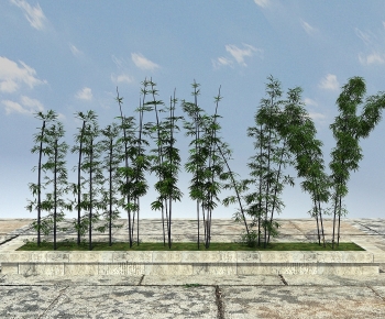 Modern Bamboo-ID:837581273