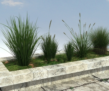 Modern Flower Bed, Flower Bowl, Flower Box-ID:328939085