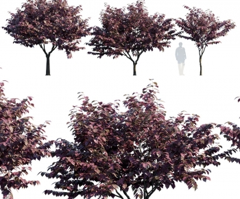 Modern Tree-ID:106348048