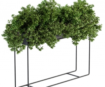 Modern Flower Bed, Flower Bowl, Flower Box-ID:595240618