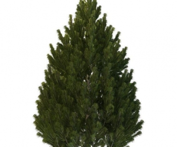Modern Shrubbery-ID:102936038