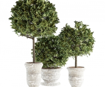 Modern Ground Green Plant Potted Plants-ID:298108107