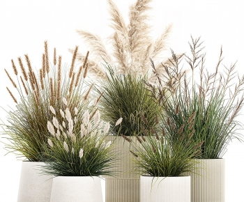 Modern Flower Bed, Flower Bowl, Flower Box-ID:233050112