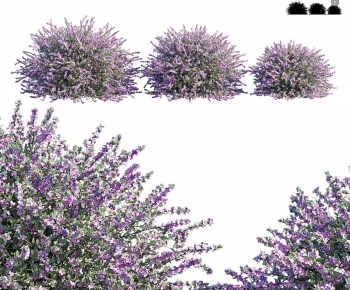 Modern Shrubbery-ID:378468041