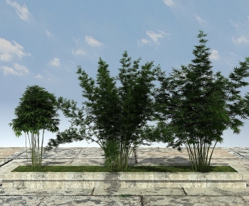 Modern Bamboo-ID:819757942