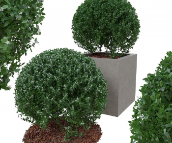 Modern Flower Bed, Flower Bowl, Flower Box-ID:148959273