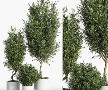 Modern Ground Green Plant Potted Plants-ID:172380924