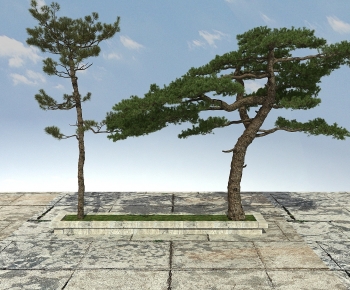 Modern Tree-ID:141739818