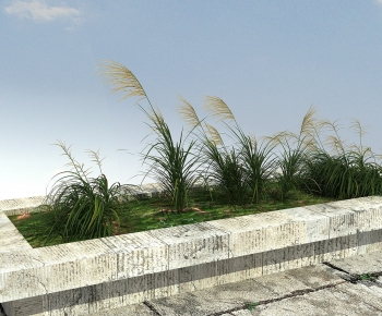 Modern Flower Bed, Flower Bowl, Flower Box-ID:465051897