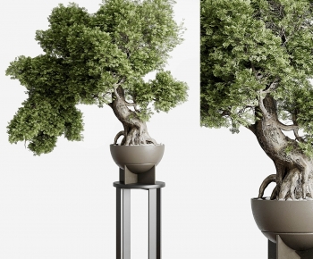 New Chinese Style Bonsai-ID:923821934