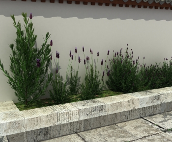 Modern Flower Bed, Flower Bowl, Flower Box-ID:392493011