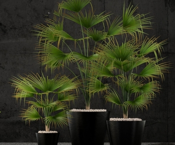 Modern Ground Green Plant Potted Plants-ID:211668018
