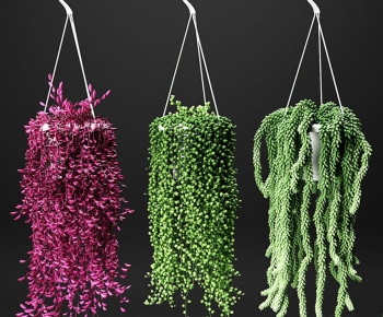 Modern Chlorophytum Comosum-ID:178352125