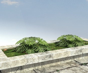 Modern The Grass-ID:247530943