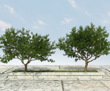 Modern Tree-ID:371084936