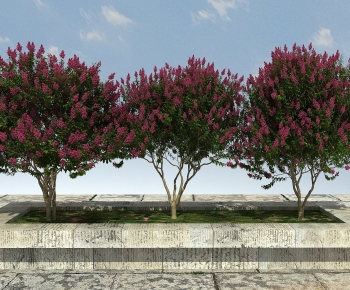 Modern Tree-ID:759083038