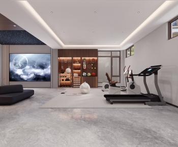 Modern Home Fitness Room-ID:515141963