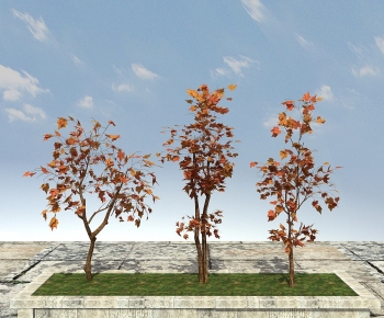 Modern Tree-ID:892342092