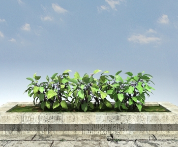 Modern Crop-ID:674298055