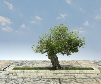 Modern Tree-ID:142956975