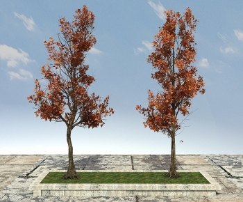Modern Tree-ID:545229932