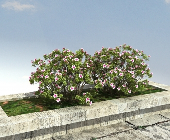 Modern Shrubbery-ID:106437923