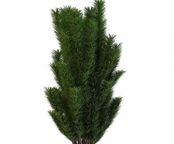 Modern Tree-ID:828049904