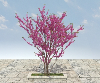Modern Tree-ID:402251964