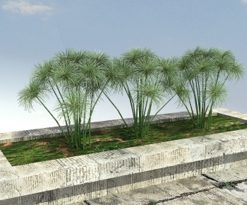 Modern The Grass-ID:219919924