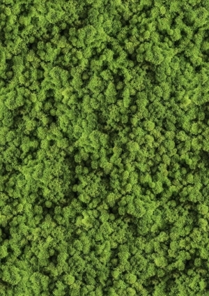 现代苔藓草皮地面贴图-ID:6337733