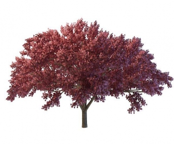 Modern Tree-ID:756149348